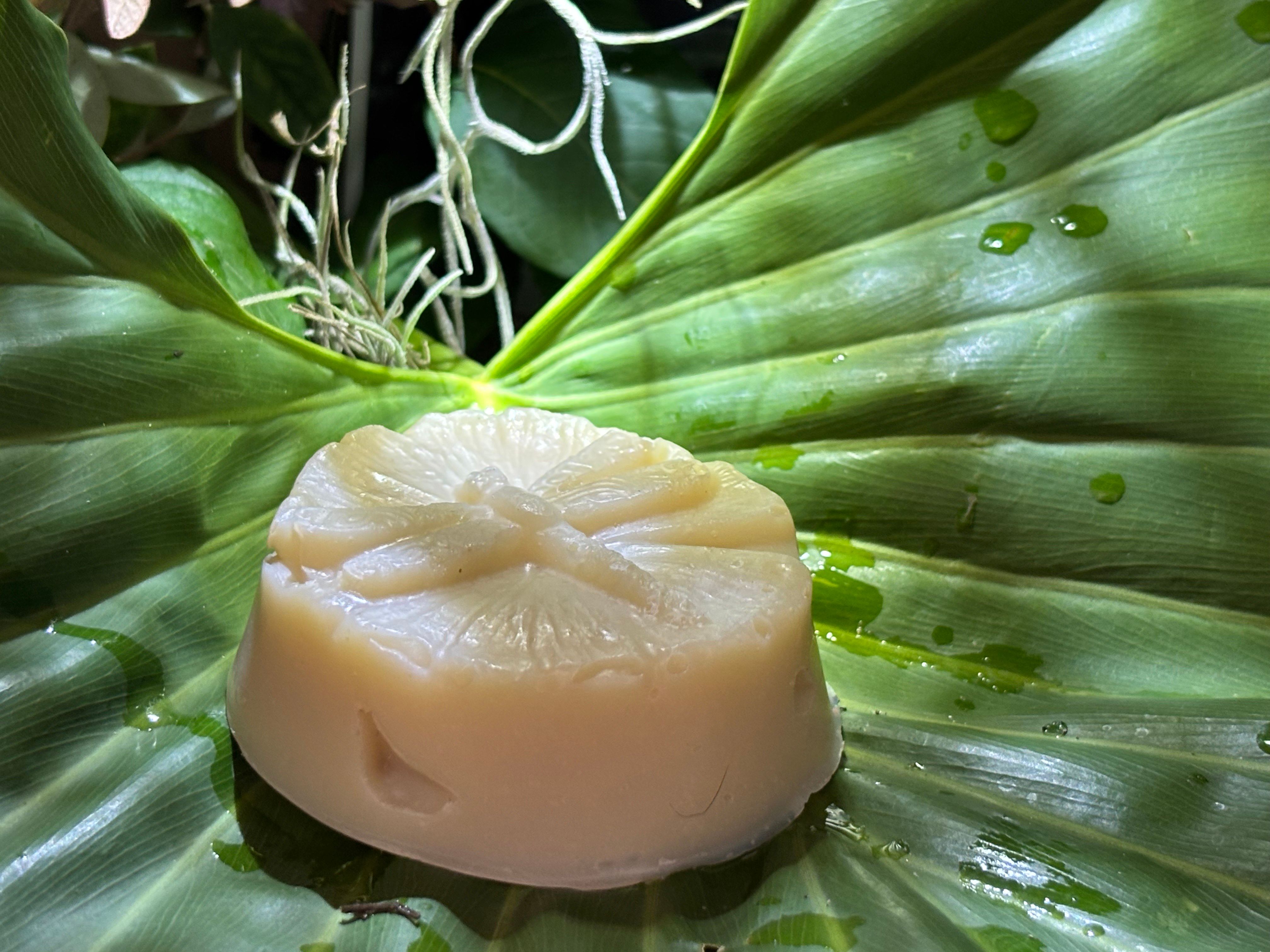 Patchouli and Tea Tree Oil Body Soap