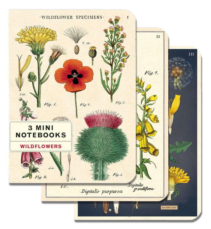 Wildflowers Mini Notebooks 3-Pack
