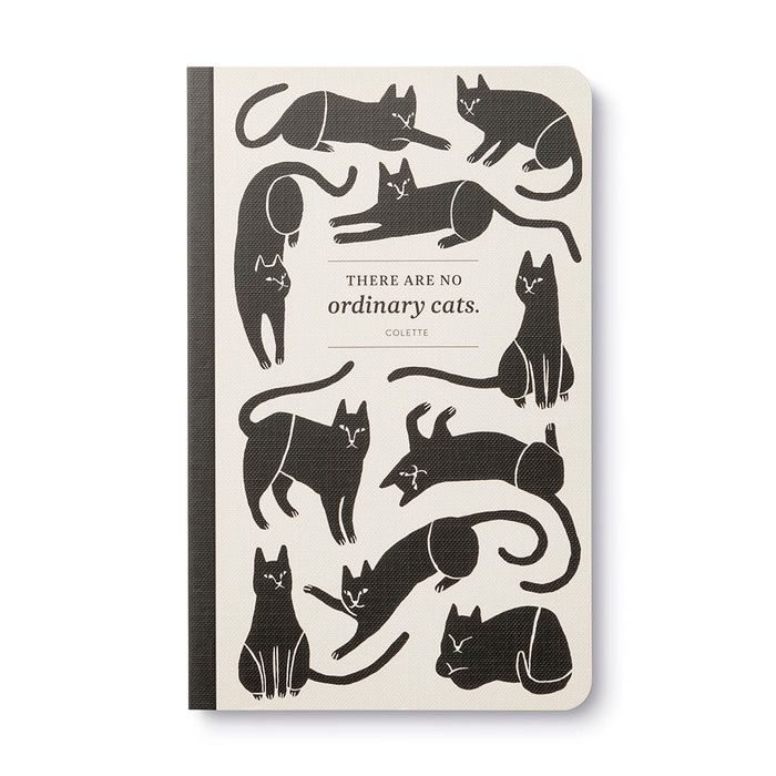 Write Now No Ordinary Cats