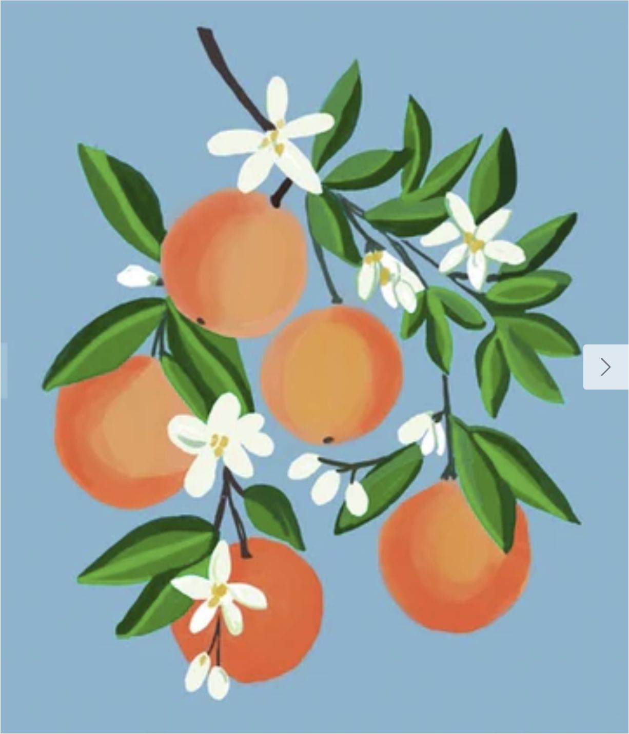 Orange You Glad 8x10