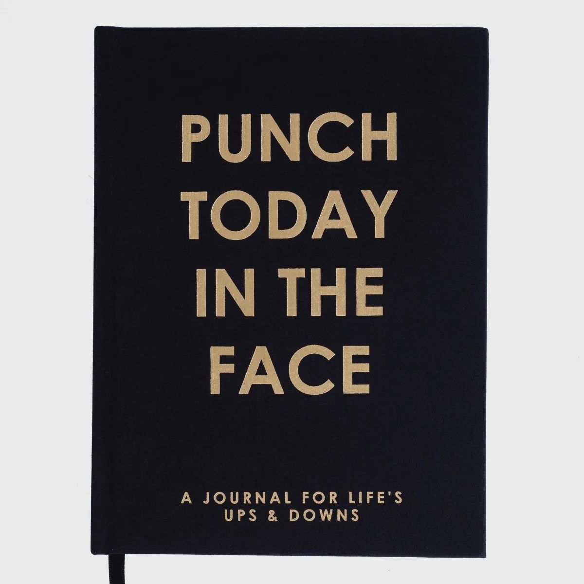 Punch Today in the Face Journal