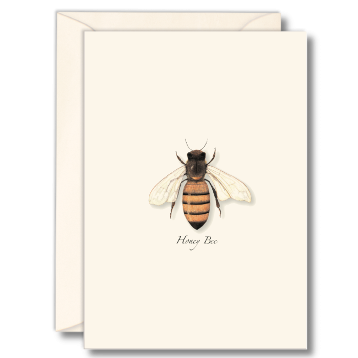 Honeybee Notecards
