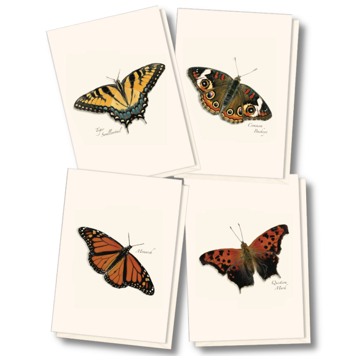 Butterfly Notecards