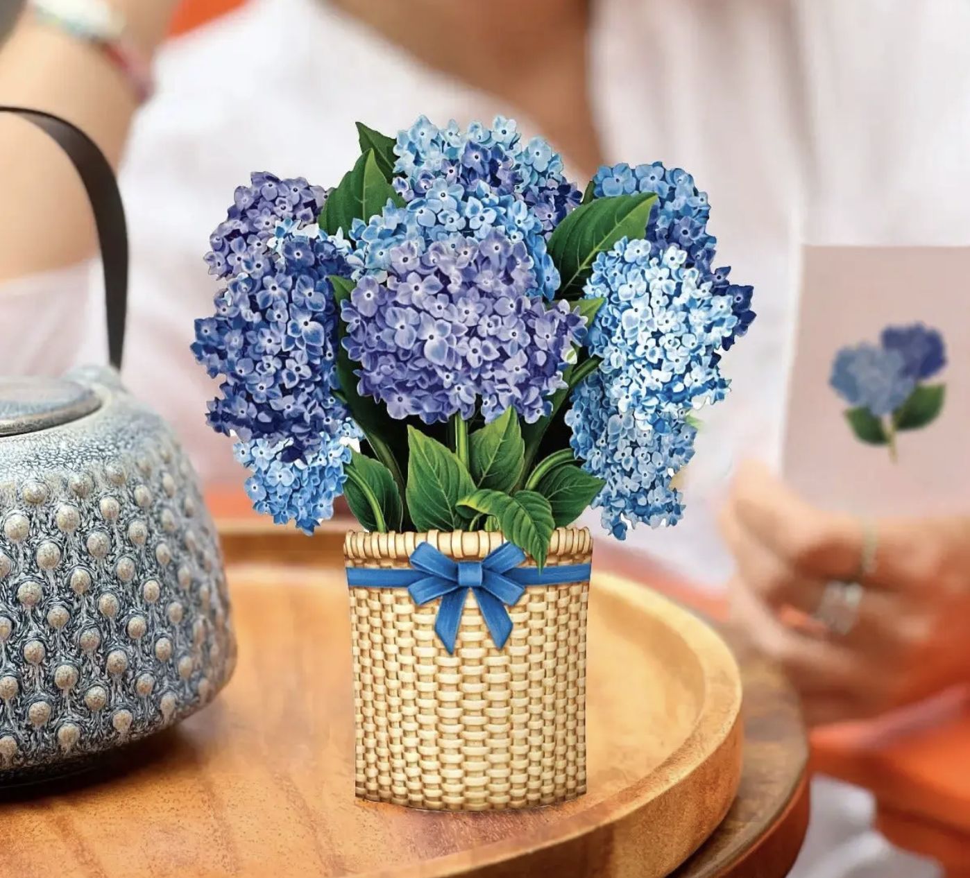 Mini Nantucket Hydrangeas