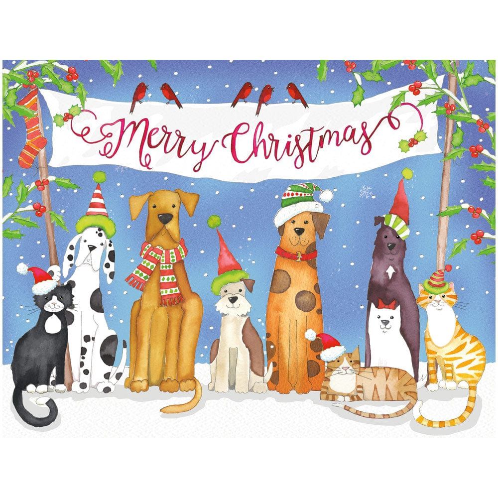 Merry Christmas from Pets Boxed Cards