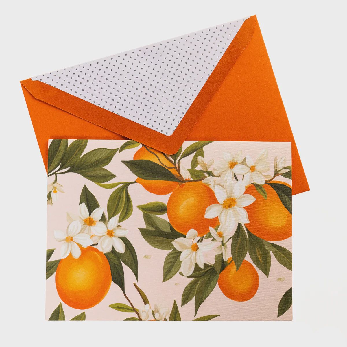 La Petite Presse L'Orange Boxed