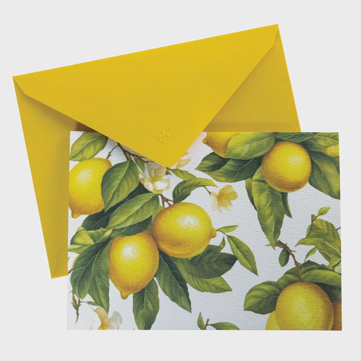 La Petite Presse Citron Boxed