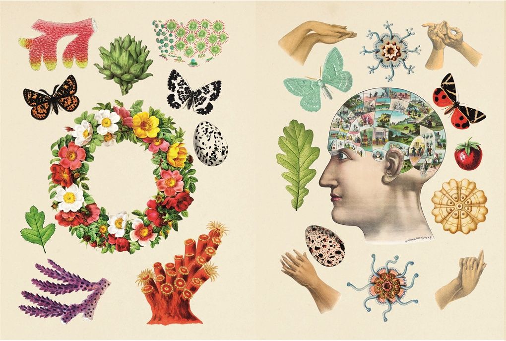 Antiquarian Sticker Book