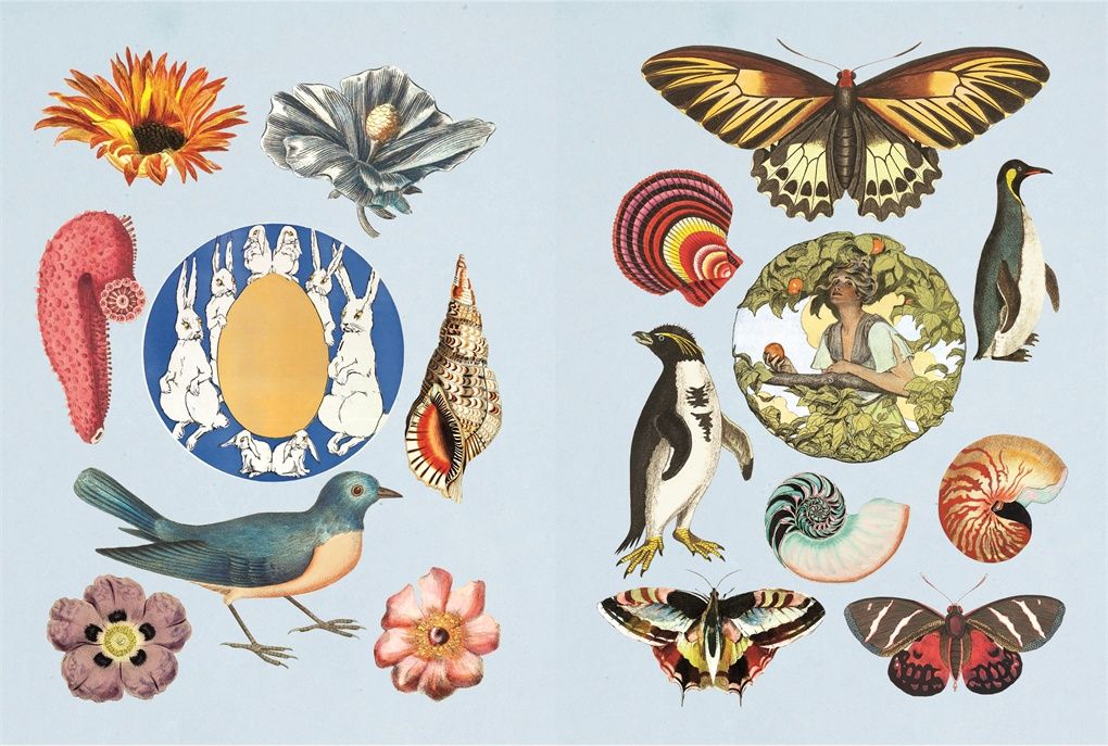 Antiquarian Sticker Book