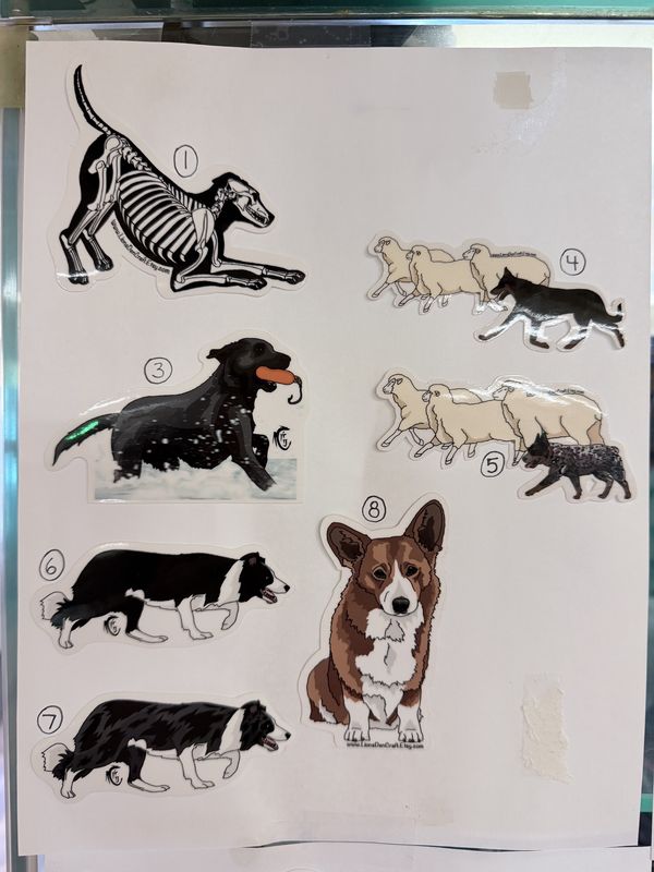 Vinyl Stickers for Aerys