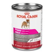 Royal Canin CHN Puppy All Dogs 385 gm