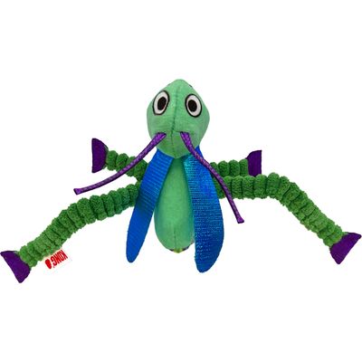 Crackles Grasshopper Cat