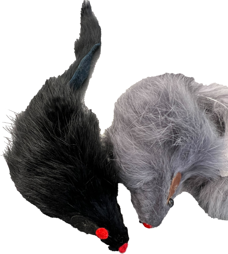 Squeaker Mouse