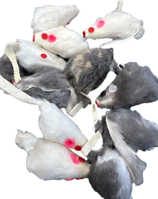 GO CAT 3” LONG HAIRED MICE real fur