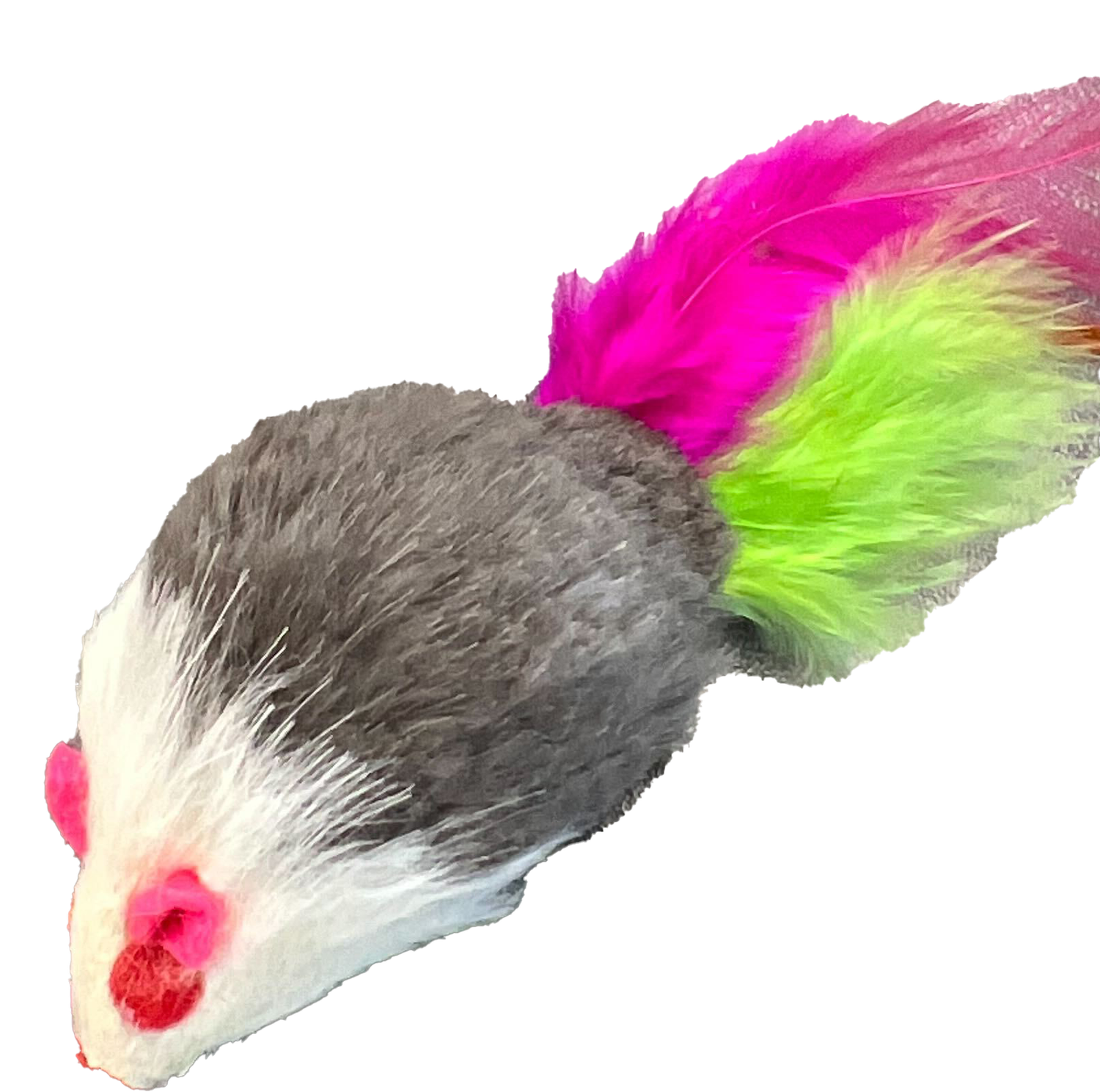 GO CAT FEATHER TAILED MICE