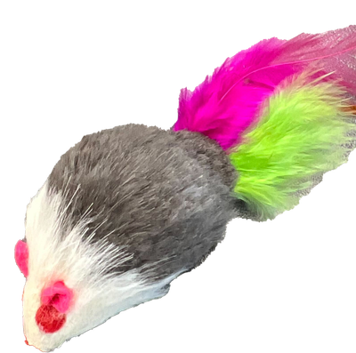 GO CAT FEATHER TAILED MICE