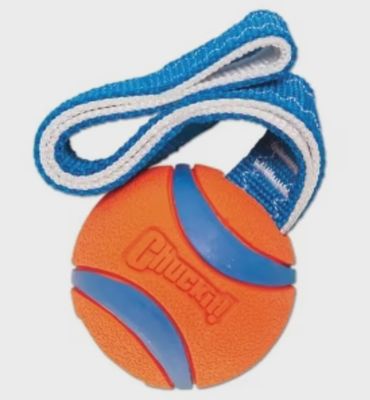 ChuckIt! Ultra Tug
