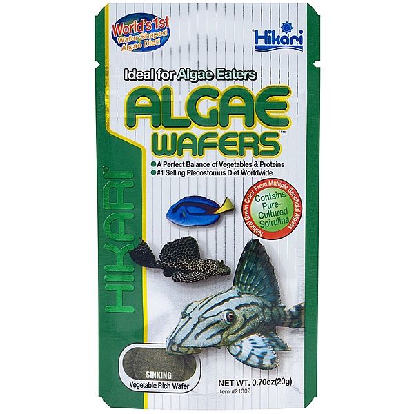 HIKARI Sinking Algae Wafers 20GM