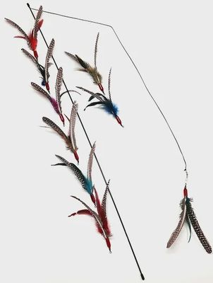 GO CAT DA BIRD PULL-APART ROD