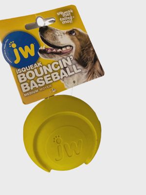 iSQUEAK BOUNCIN&#39; BASEBALL - MEDIUM