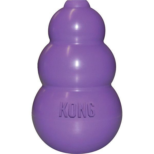 Kitty KONG Cat