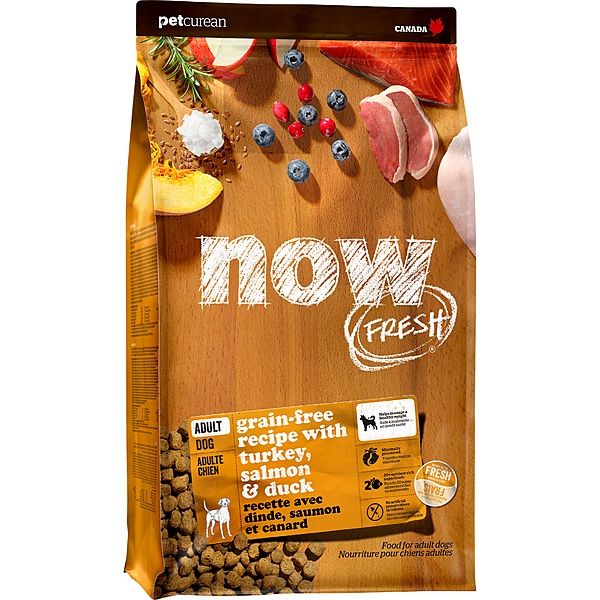 NOW FRESH NOW Turkey Salmon &amp; Duck Adult Dog 22LB