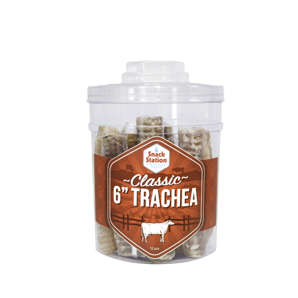 This&amp;That Snack Station Bulk Classic Beef Trachea 6&quot;