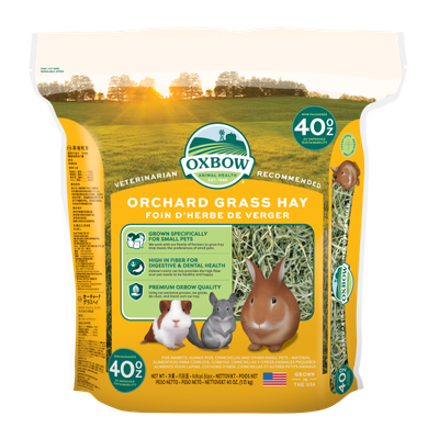 Oxbow Hay Orchard Grass 40 oz