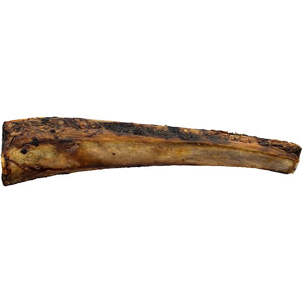 ASADO Beef Rib 12&quot;