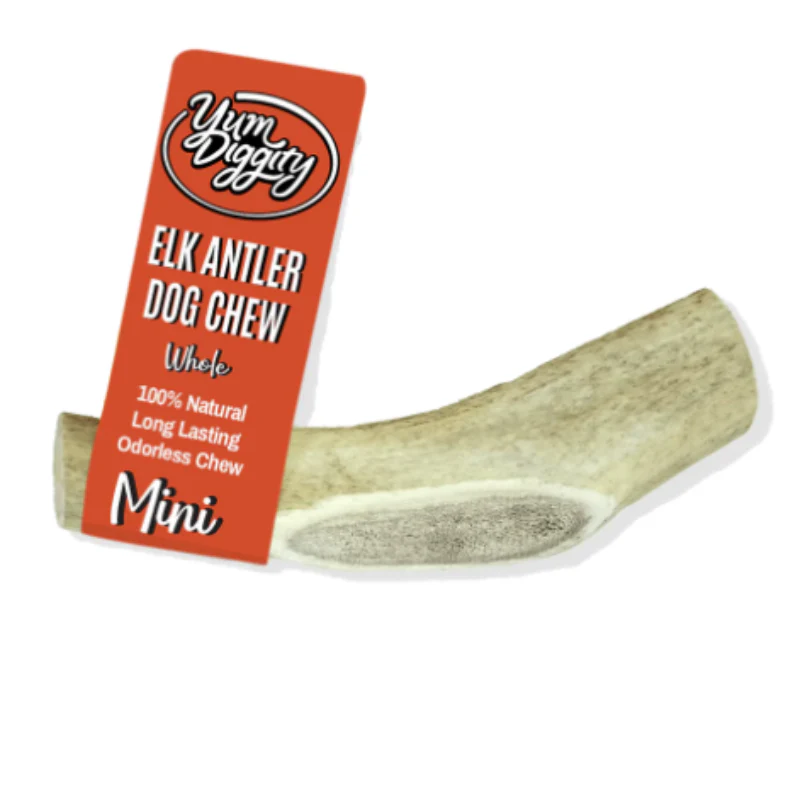 Yum Diggity Whole Elk Antler Chew - Mini