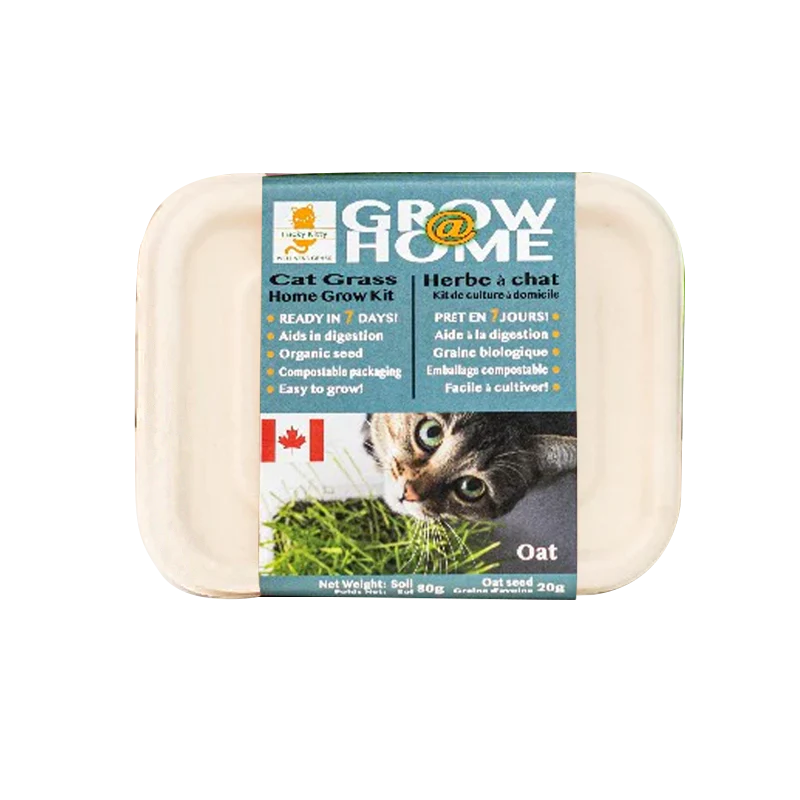 Lucky Kitty Grow At Home Cat OAT Grass