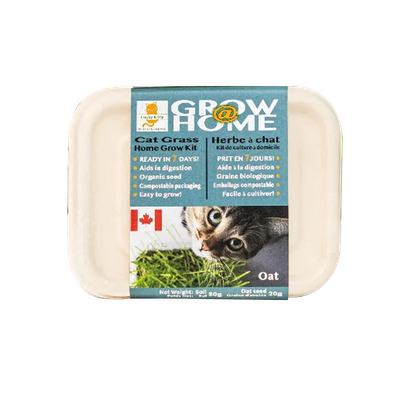 Lucky Kitty Grow At Home Cat OAT Grass