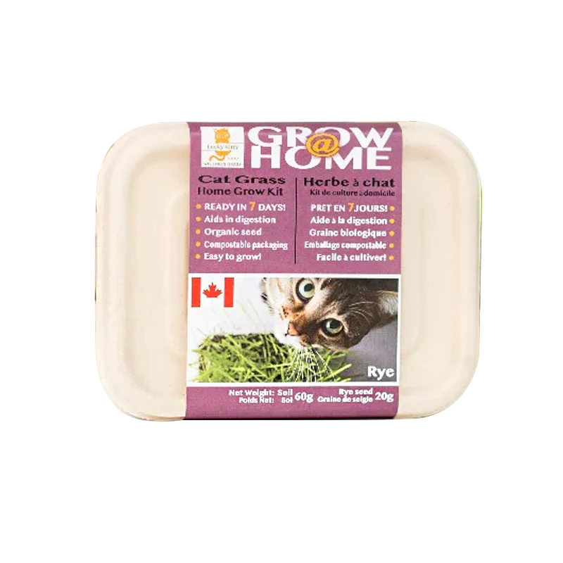 Lucky Kitty Grow At Home Cat RYE Grass