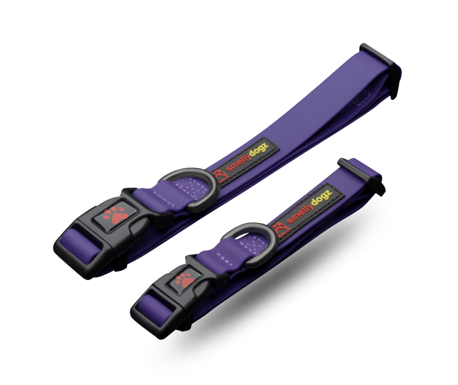 Large Adjustable Comfort Collar - Purple