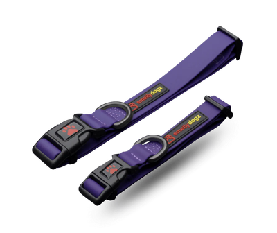 Large Adjustable Comfort Collar - Purple