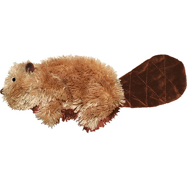 Beaver Small