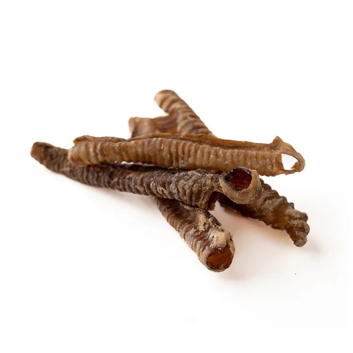 5-7&quot; Lamb Trachea