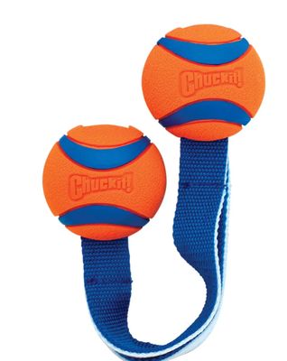 ChuckIt Ultra Duo Tug - Small