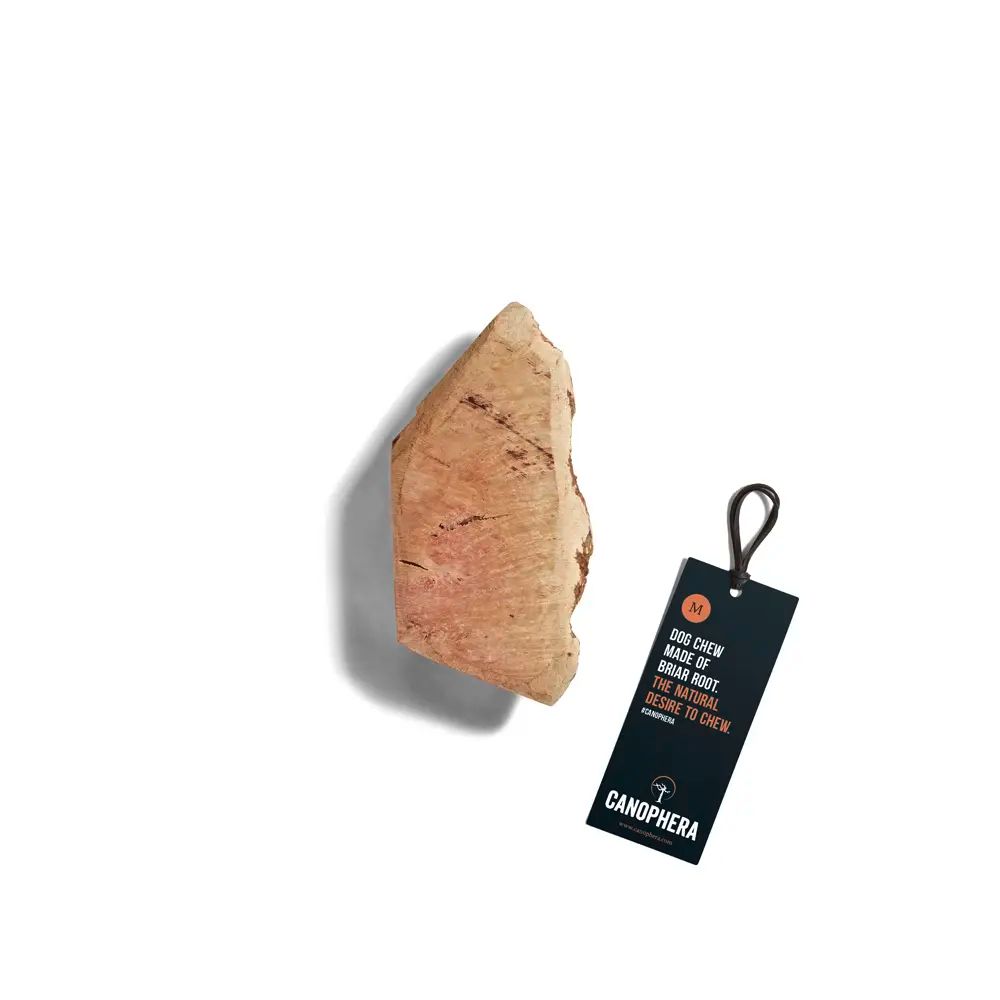 Canophera Briar Root - Medium