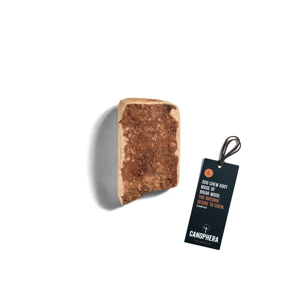 Canophera Briar Root - Large