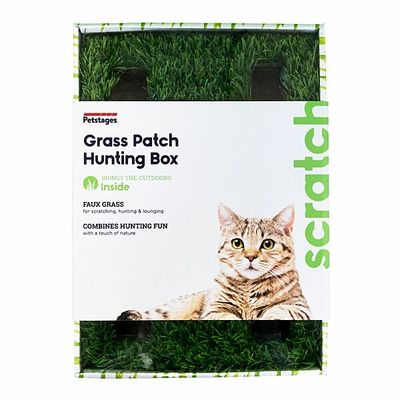 Grass Patch Hunting Box Cat