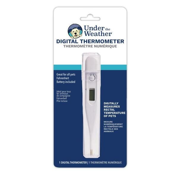 Under the Weather - Digital Thermometer Under the Weather - Digital Thermometer