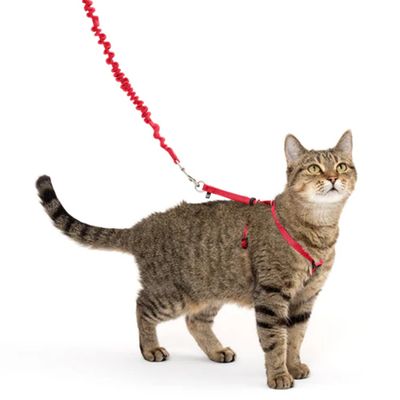PetSafe Come with Me Kitty Harness&Leash MED Red