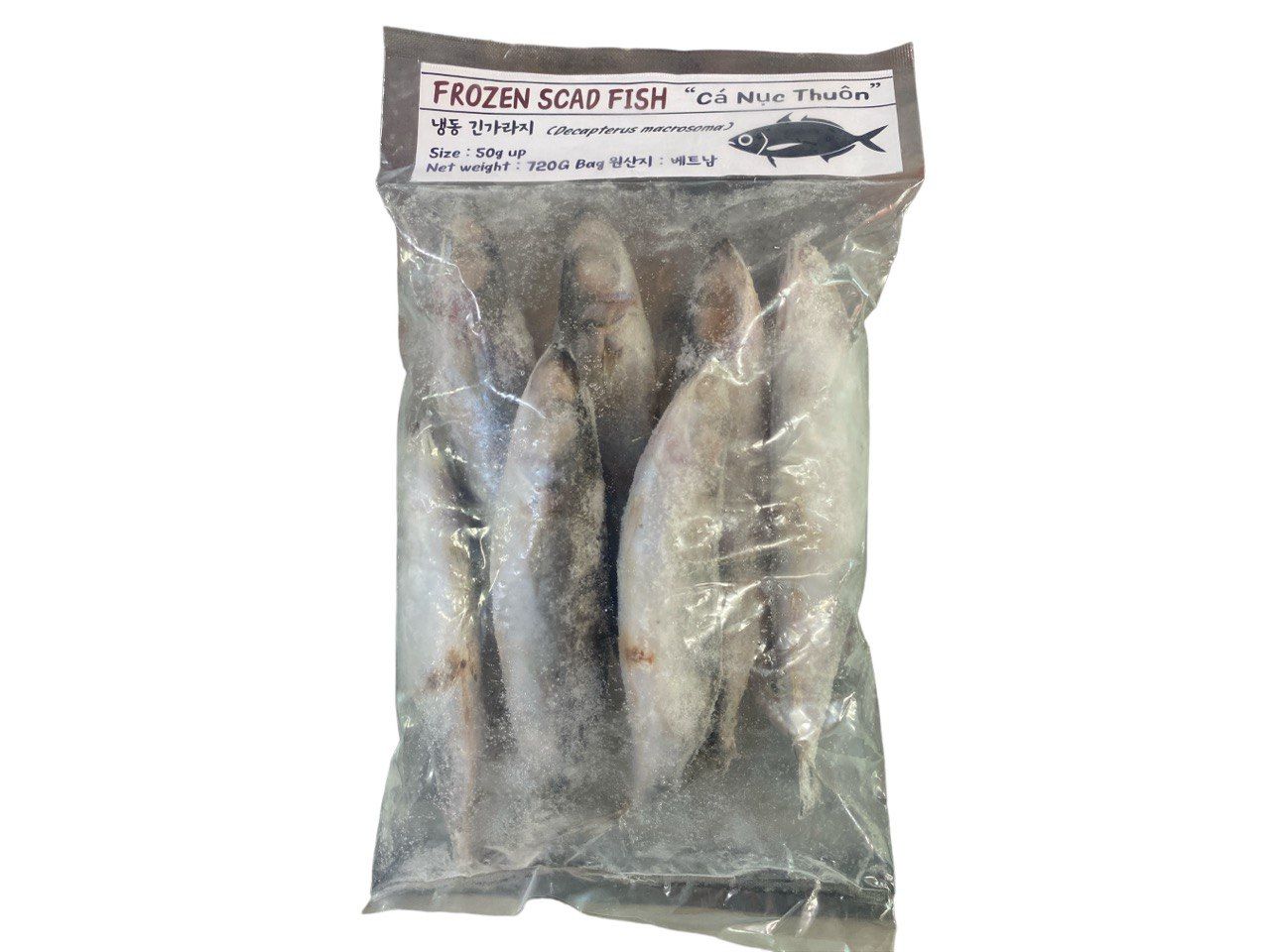 Ikan Layang Galunggong (Round Scad Fish)