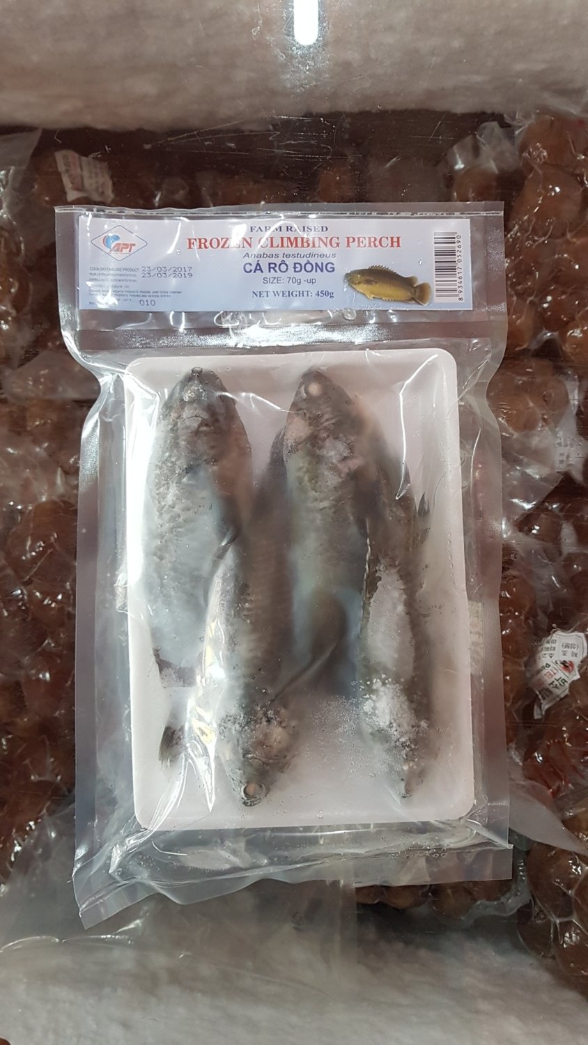 Ikan Betok/Betik (frozen climbing perch)
