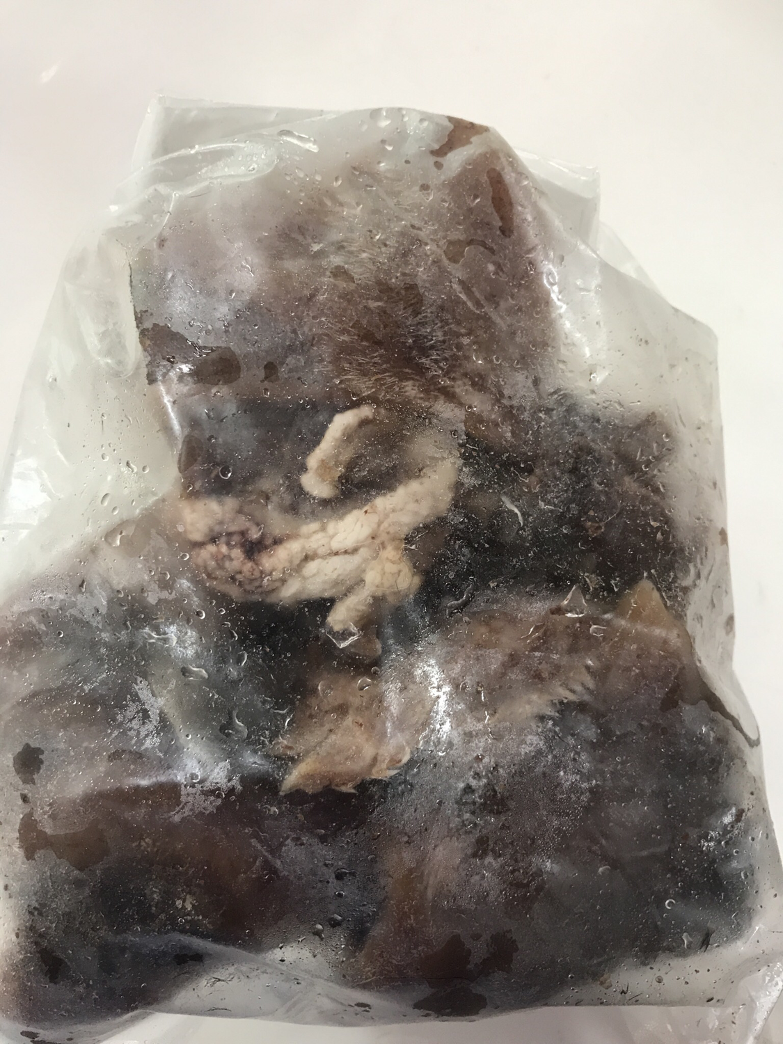 Kikil Sapi