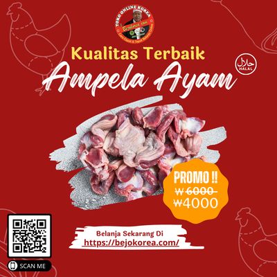 Ampela Ayam (Chiken Gizzard) 500 Gr
