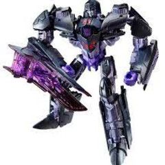 Used TF generation- Megatron