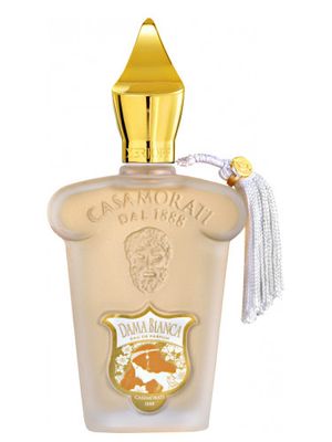 Dama Bianca Casamorati by Xerjoff (2 ml decant)