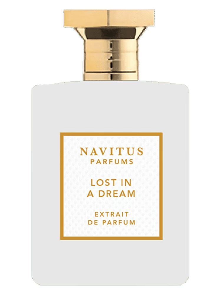 Lost in a Dream by Navitus Parfums​ (2 ml decant)